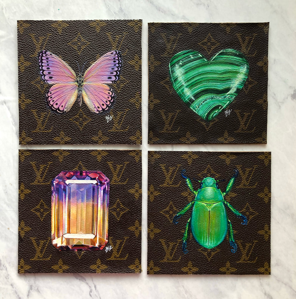 Thoughts on My New Insect Collection