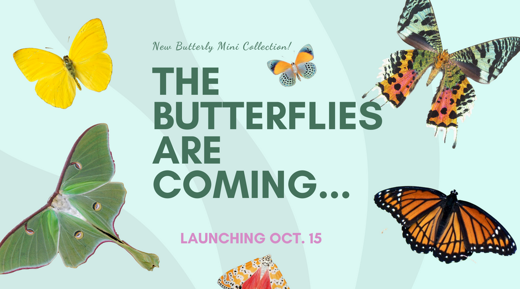 New Butterfly Collection Launching October 15!